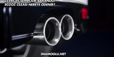 Çevre ve Şehircilik Bakanlığı Egzoz Cezası Nereye Ödenir?