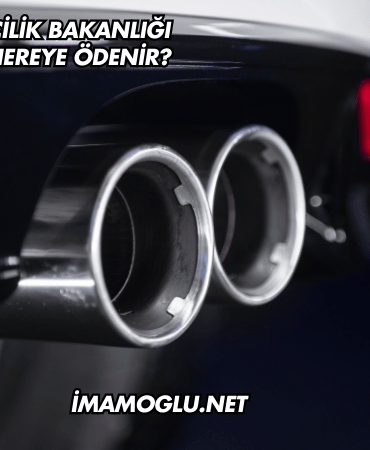 Çevre ve Şehircilik Bakanlığı Egzoz Cezası Nereye Ödenir?