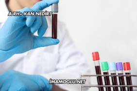 A Rh+ Kan Nedir?
