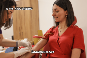 A Rh- Kan Nedir?