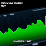 Adra Katılım Endeksine Uygun mu?