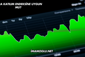 Adra Katılım Endeksine Uygun mu?