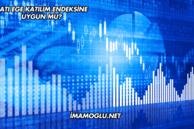 Batı Ege Katılım Endeksine Uygun mu?