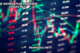 Bor Şeker Katılım Endeksine Uygun mu?