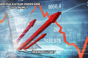 Enerjisa Katılım Endeksine Uygun mu?