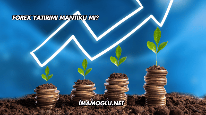 Forex Yatırımı Mantıklı mı?