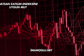 Hatsan Katılım Endeksine Uygun mu?