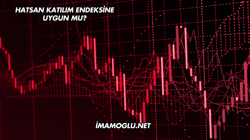 Hatsan Katılım Endeksine Uygun mu?