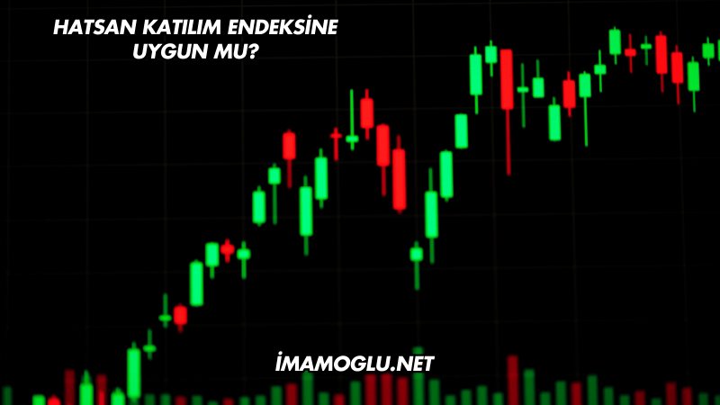 Hatsan Katılım Endeksine Uygun mu?
