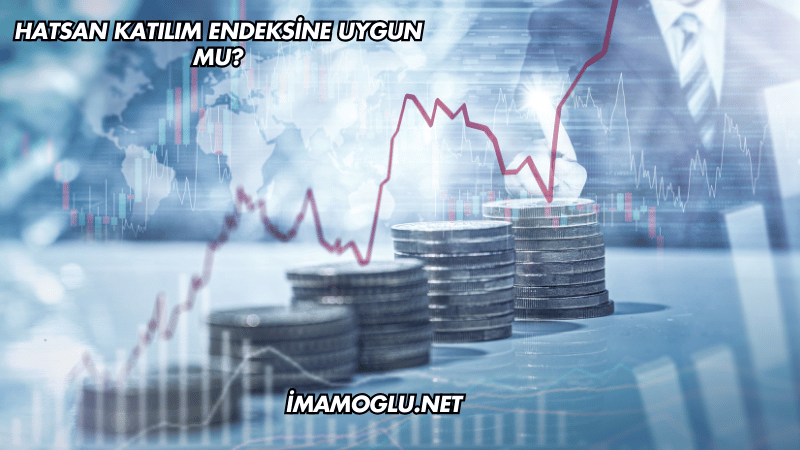 Hatsan Katılım Endeksine Uygun mu?