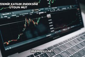 İzdemir Katılım Endeksine Uygun mu?