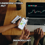 Kozal Katılım Endeksine Uygun mu?