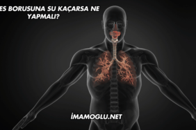 Nefes Borusuna Su Kaçarsa Ne Yapmalı?