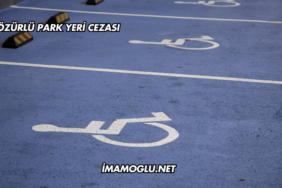 Özürlü Park Yeri Cezası