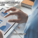 Petkim Katılım Endeksine Uygun mu?