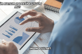 Petkim Katılım Endeksine Uygun mu?