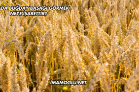 Rüyada Buğday Başağı Görmek Neye İşarettir?