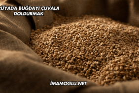 Rüyada Buğdayı Çuvala Doldurmak