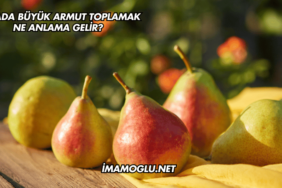 Rüyada Büyük Armut Toplamak Ne Anlama Gelir?