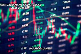 Yatırım Uzmanı Ne Kadar Maaş Alır 2025