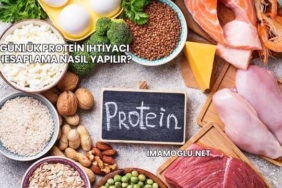 Günlük Protein İhtiyacı Hesaplama Nasıl Yapılır?